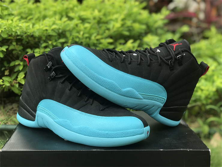 jordan gamma 12